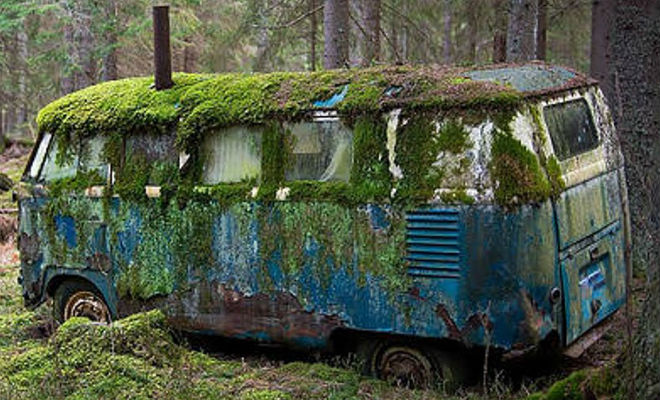 Нашли заброшенный автобус в лесу: внутри оказался дом отшельника на зависть городским