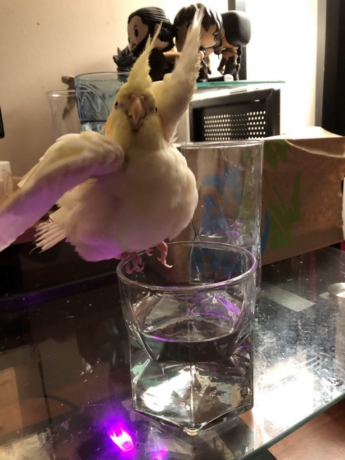 Фотоподборка 