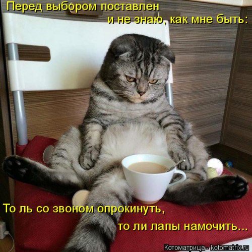 Новая котоматрица для всех (20 шт)