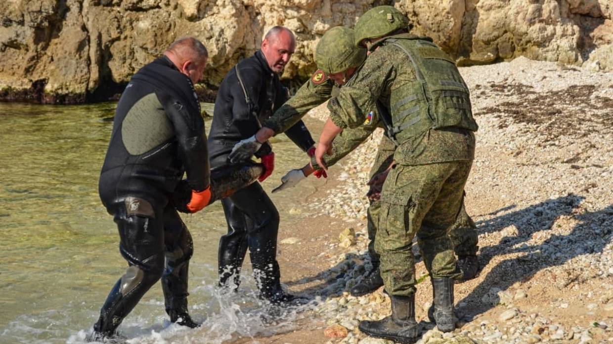 Эхо войны: где в Крыму и Севастополе чаще всего находят неразорвавшиеся снаряды времен ВОВ Эхо войны: где в Крыму и Севастополе чаще всего находят неразорвавшиеся снаряды времен ВОВ Общество