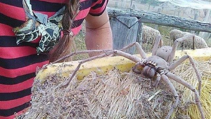 Подборка картинок. Дневной выпуск (51 фото)