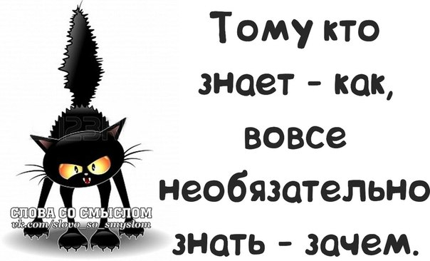 - Что главное в боксе?- Шубы!- Что?! Какие еще шубы?!- Шелые передние шубы! веселые картинки