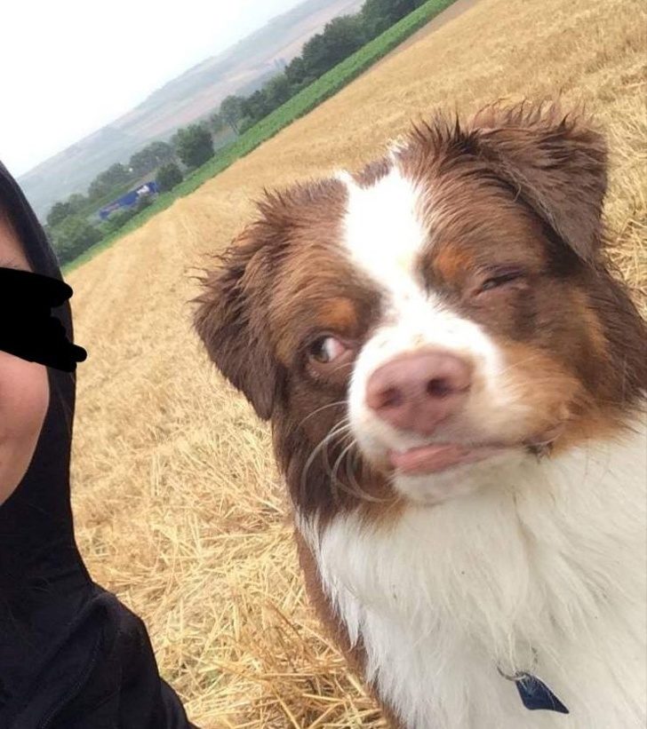 22 снимка, которые должны были быть офигенными, но что-то пошло не так 22 снимка, которые должны были быть офигенными, но что-то пошло не так