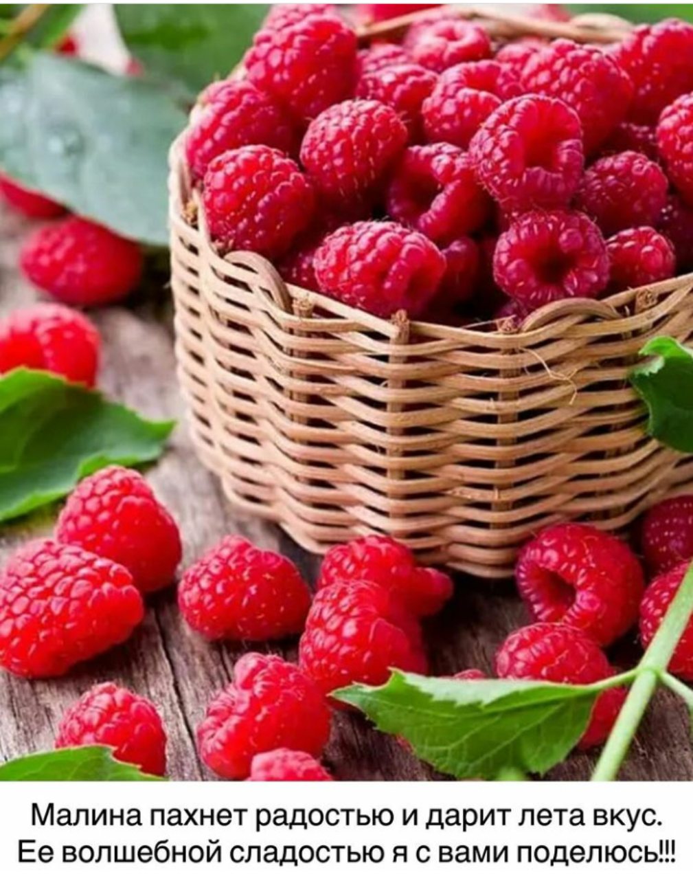 Веселые истории о нас Веселые истории о нас