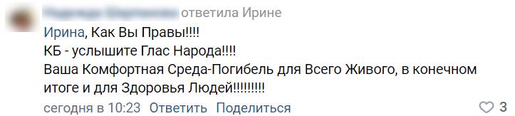 Петербургские коммунальщики обрекают птиц на голод