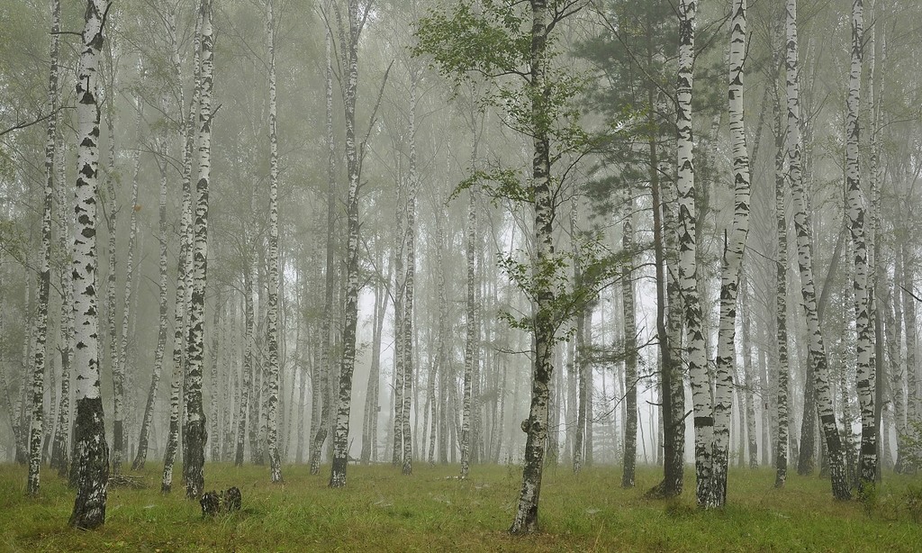 Земля так несравненно хороша! Земля так несравненно хороша! природа
