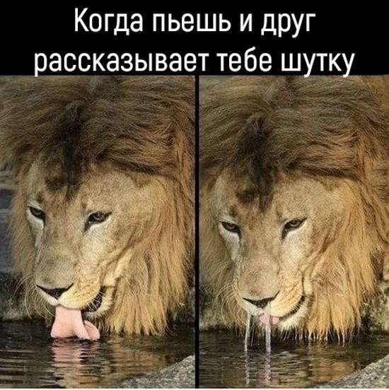 Смешные картинки и приколы Смешные картинки и приколы