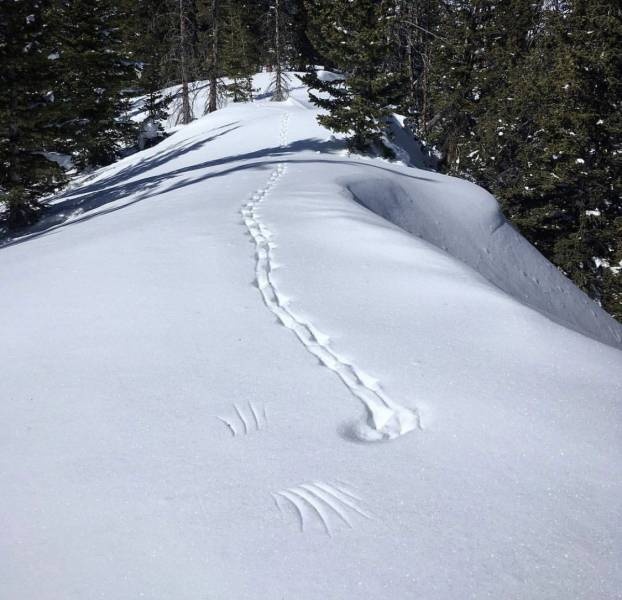 Подборка интересных и веселых картинок №62 Подборка интересных и веселых картинок №62 Отдых