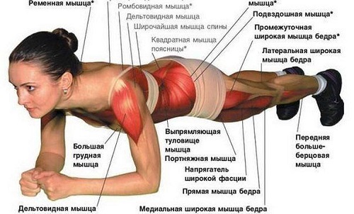 упражнение планка