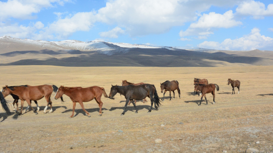 Высокогорное озеро Сон-куль, Кыргызстан Высокогорное озеро Сон-куль, Кыргызстан