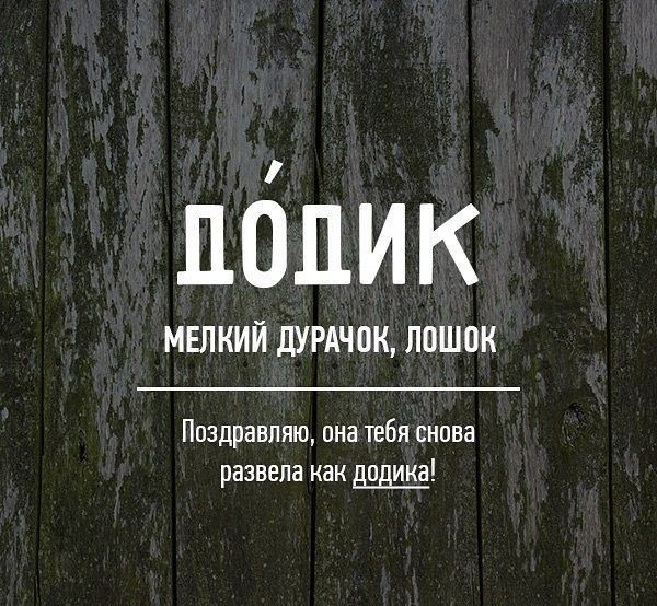 Редкие бранные слова русского языка (20 фото)