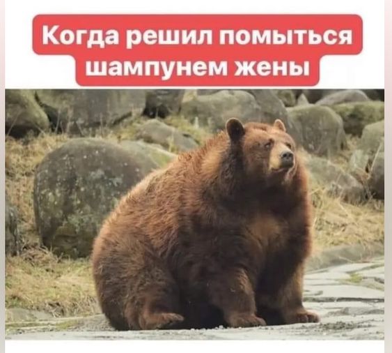 Подборка смешных картинок из интернета 