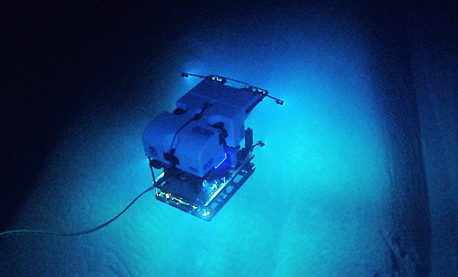 5 необъяснимых вещей и явлений, снятых на подводные камеры в глубинах океанов ученые, дайверами, явлений, исследования, структура, существо, Некоторые, вопросов, нимЭта, вызвала, множество, Сегодня, дискуссий, спуститься, сообществе, предполагают, может, древнейшая, подводная, научном