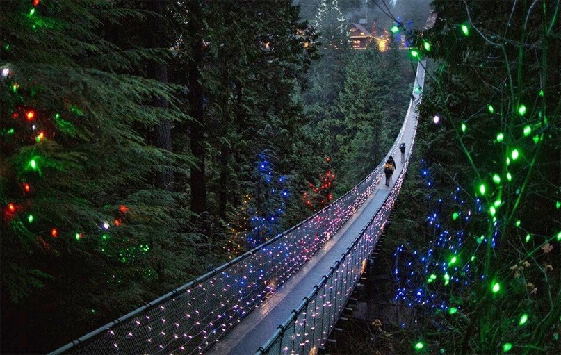 Классные и прикольные фотографии