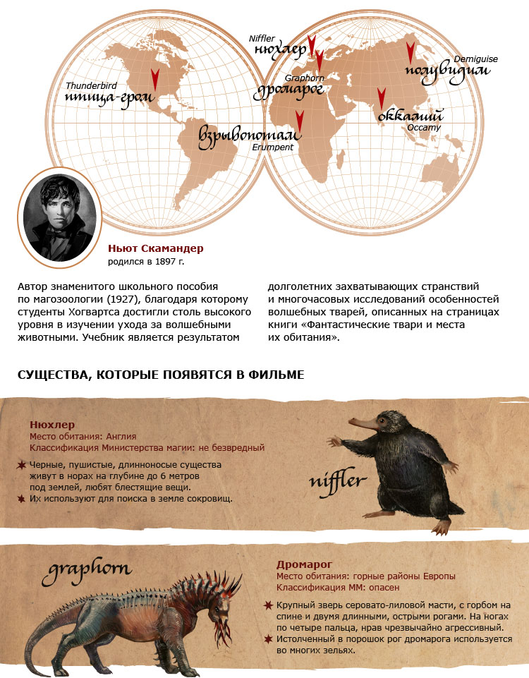 Фантастические твари хронология. Фантастические существа и где они обитают. Места обитания волшебных существ. Названия животных из фантастических тварей. Фантастические звери: места обитания.
