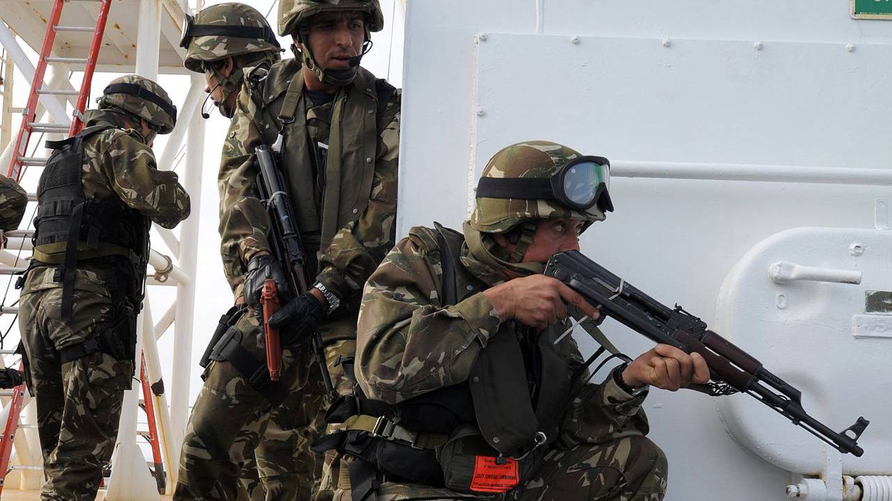 Армия Алжира арестовала 19 пособников террористов