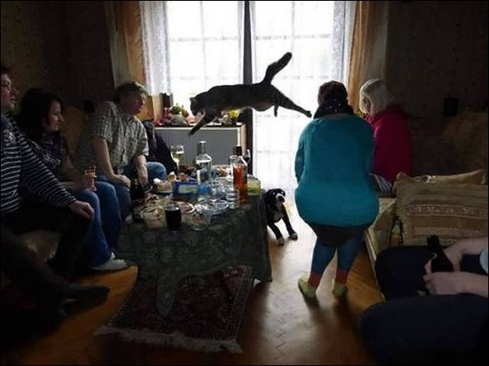 Бывает, фотоаппарат фиксирует кадр, который можно долго смаковать и удивляться, как он мог так получиться