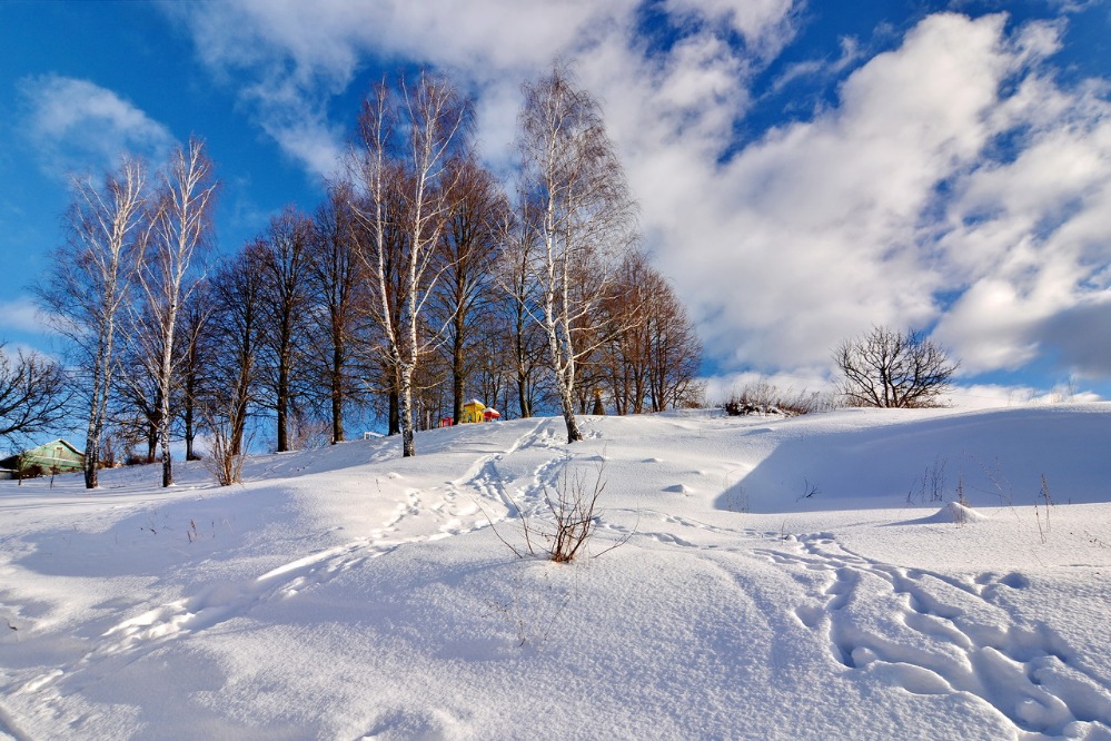 Snow last winter. Холодный зимний день. Последний день зимы пейзажи. Обычный зимний день. С днем зимы.