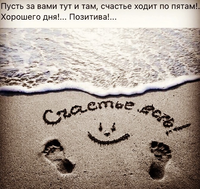 Веселые истории о нас Веселые истории о нас