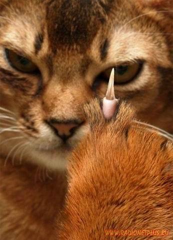 Улыбнёмся? :) (21повод)