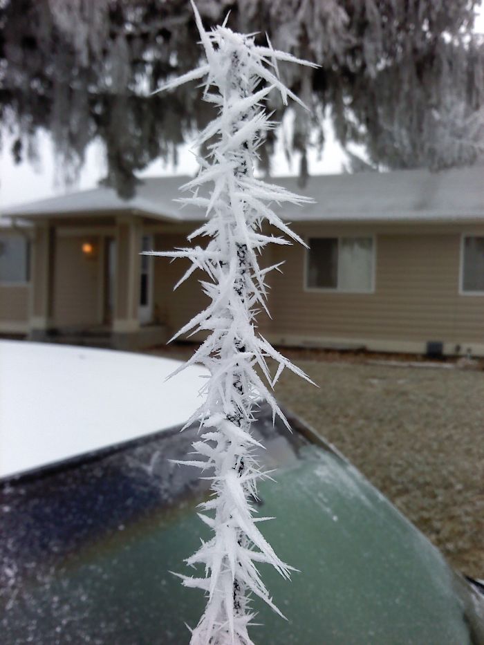 Ice Spikes Growing On My Truck's Antenna