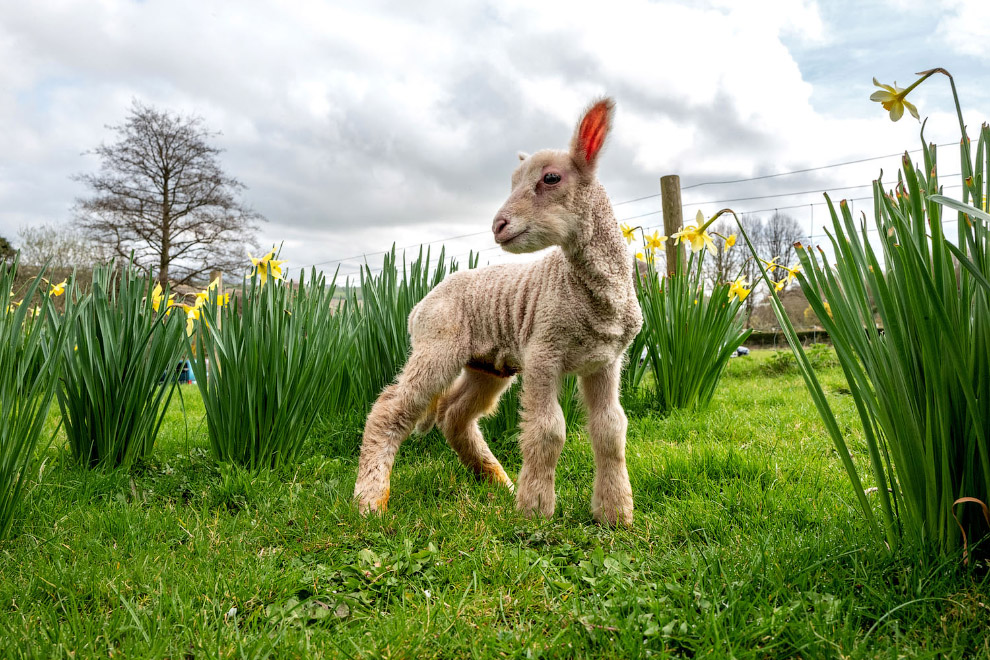 Весна 2019 Весна 2019