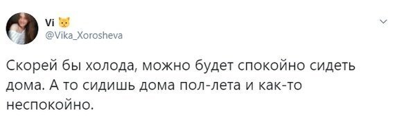 Лето-2019: юмористические итоги трех долгожданных месяцев  