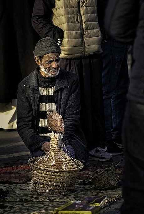 От Африки до арктической тундры России: финалисты фотоконкурса National Geographic Traveller 2019 От Африки до арктической тундры России: финалисты фотоконкурса National Geographic Traveller 2019