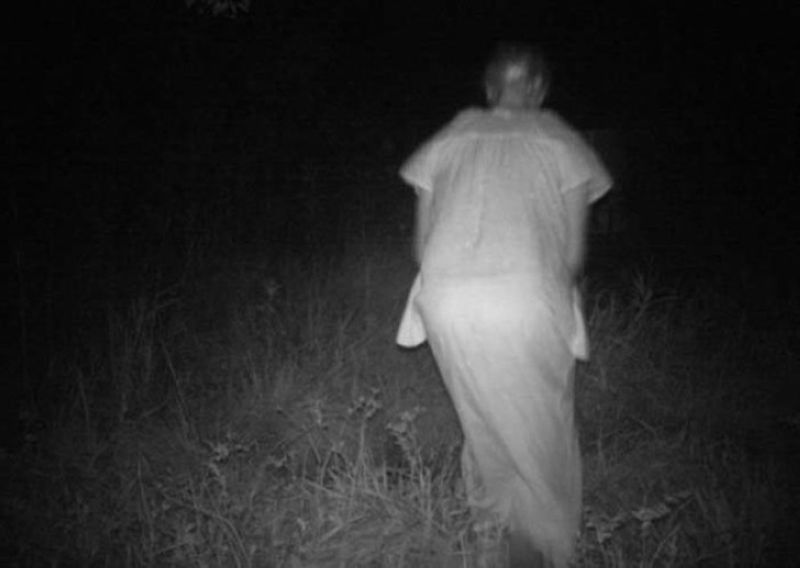 Странные кадры с охотничьих камер ночного видения
