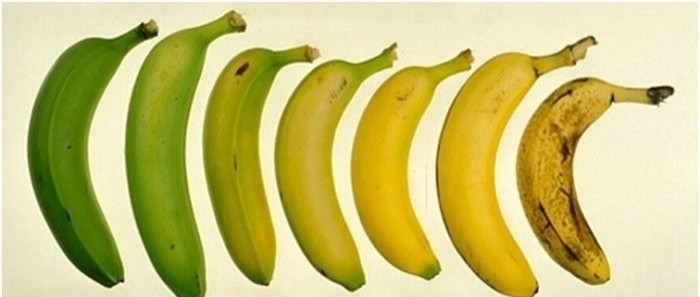  Свойства банана, о которых вы, скорее всего, не знали бананы, полезно, факты