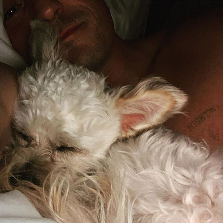 Орландо Блум взял из приюта собаку после гибели любимого пса Майти: фото милогофотоссобачкой,Стиль жизни,Благотворительность