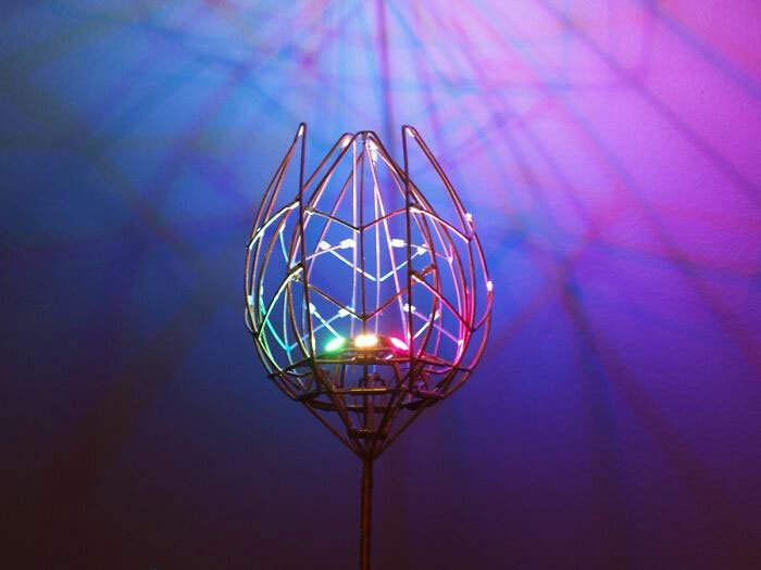 Парень подарил жене механический цветок, который расцветает при касании Парень подарил жене механический цветок, который расцветает при касании мужское хобби