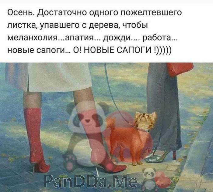 Новейшая порция хороших и добрых коротких рассказов с просторов интернета Новейшая порция хороших и добрых коротких рассказов с просторов интернета