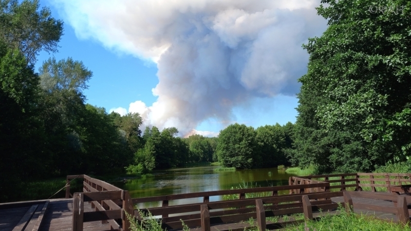 Сильный пожар полыхает в Мордовском заповеднике, ФАН публикует фото