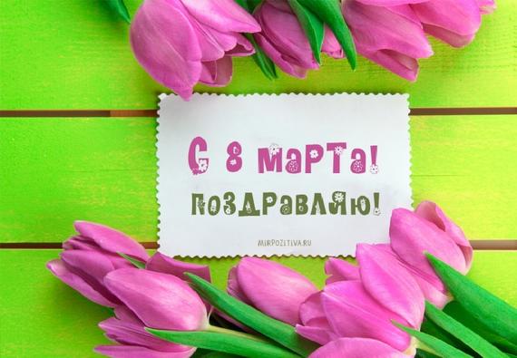 цветы тюльпаны