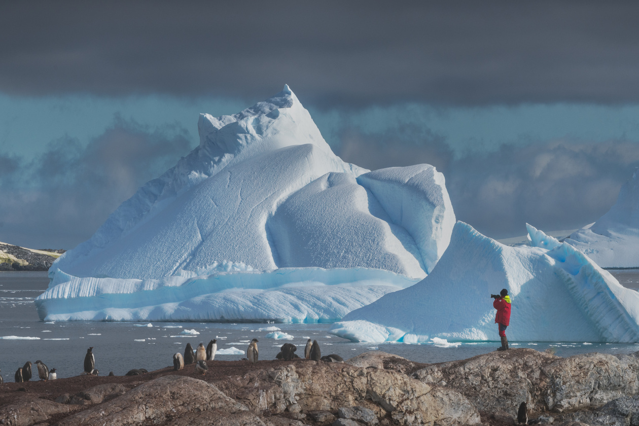 Антарктида самые классные кадры