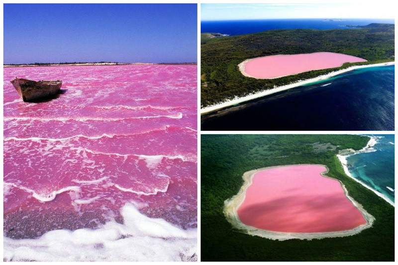 Розовое озеро Хиллиер австралия, красота, природа, удивительное