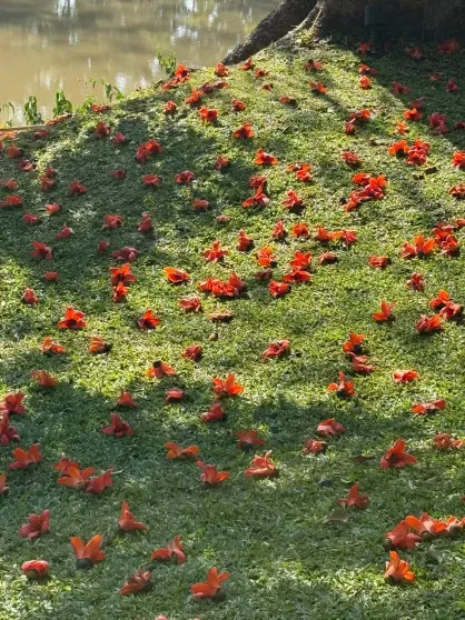 Паулина Андреева в неформальной обстановке: кадры с отдыха в Таиланде