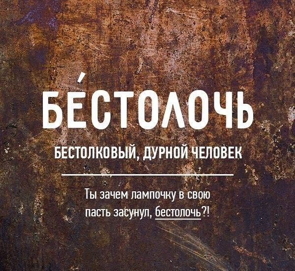 Редкие бранные слова русского языка (20 фото)