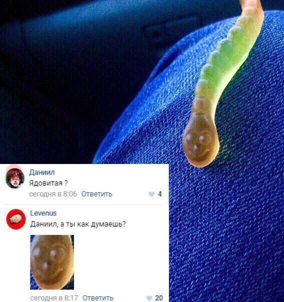 Смешные комментарии и высказывания из социальных сетей высказывания, комментарии, прикол