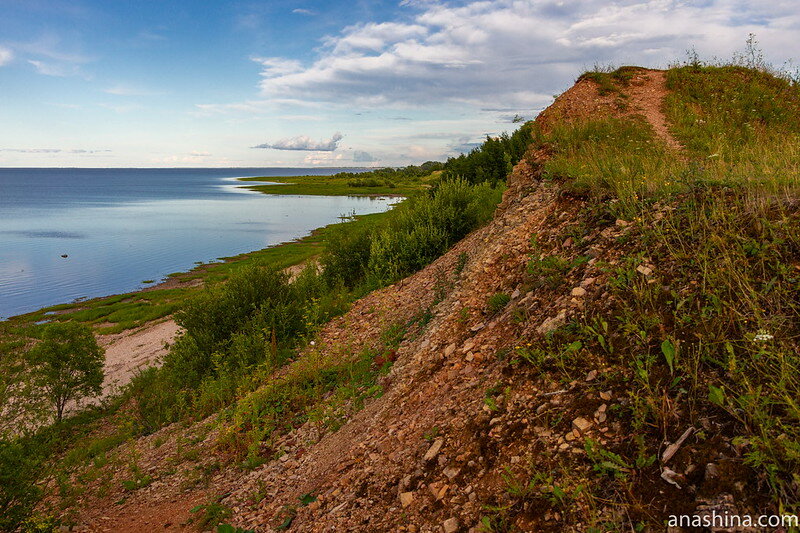 Глинт новгородская область