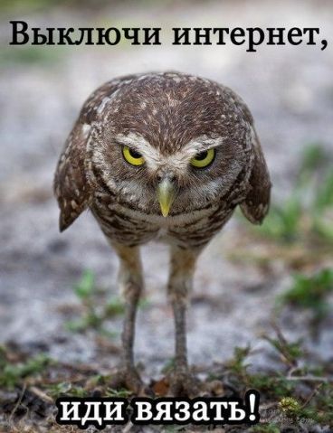 Подборка смешных картинок из интернета
