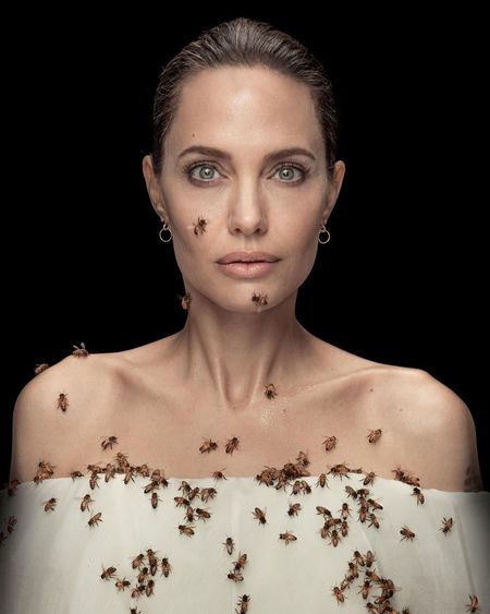 Анджелина Джоли снялась с роем пчел, чтобы привлечь внимание к проблеме их вымирания Звезды,Новости о звездах