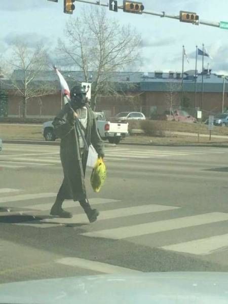 Подборка картинок. Дневной выпуск (51 фото)