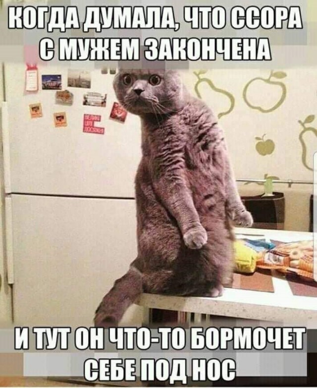 Подборка интересных и веселых картинок №62 Подборка интересных и веселых картинок №62 Отдых