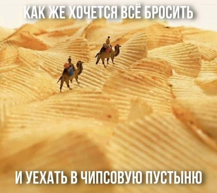 Бодрые, смешные картинки с надписями для хорошего настроения Бодрые, смешные картинки с надписями для хорошего настроения