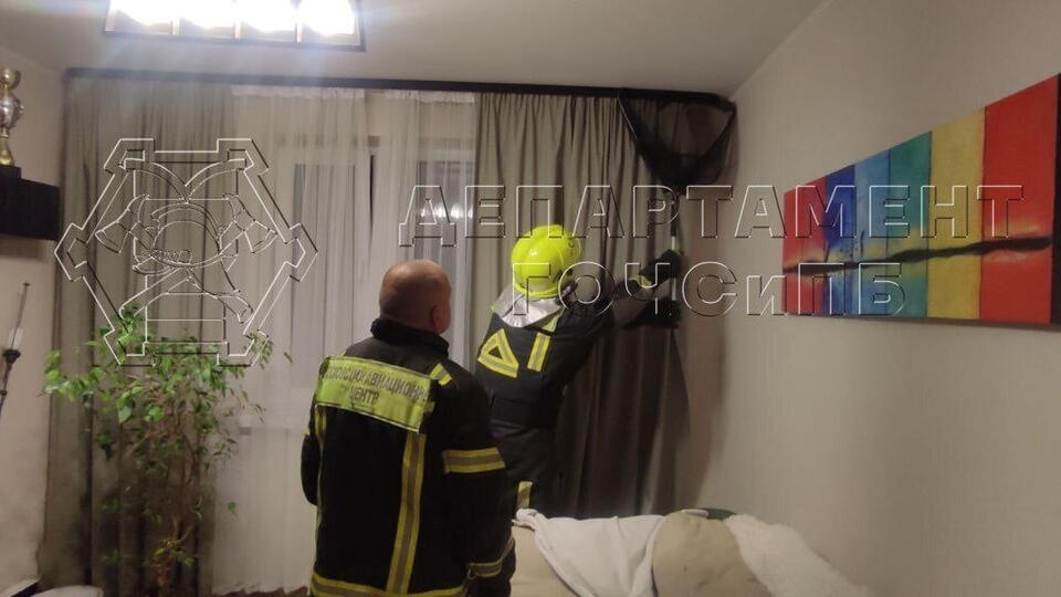Специалисты спасли летучую мышь, влетевшую в окно московской квартиры