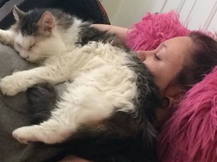 15. У этого котенка есть только один глаз, да и тот наполовину слепой. Очень любит вот так валяться домашние животные, животные-инвалиды, изъян, недостаток, питомец, питомцы, хозяева животные