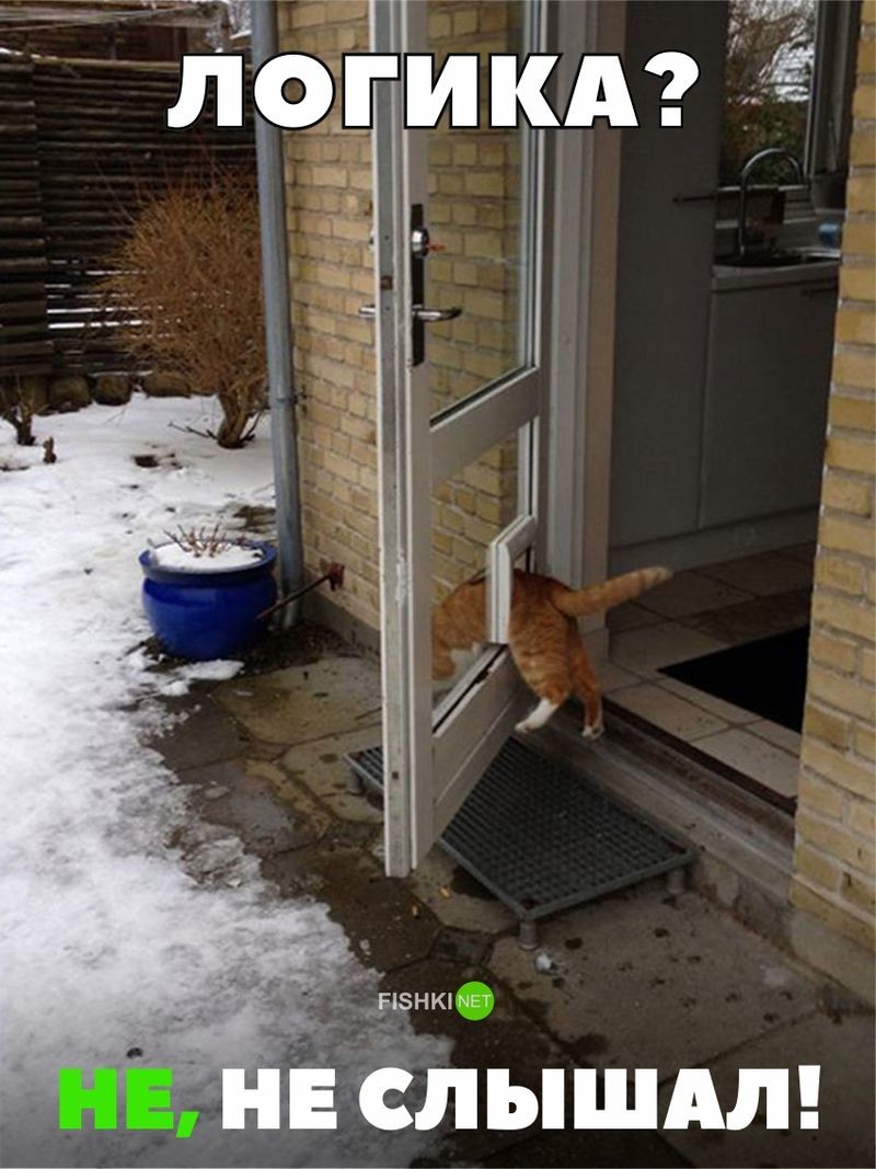 Нет ничего страшнее привычки. Нужны доказательства? Их есть у меня всякое случается, привычка, привычки, прикол, юмор