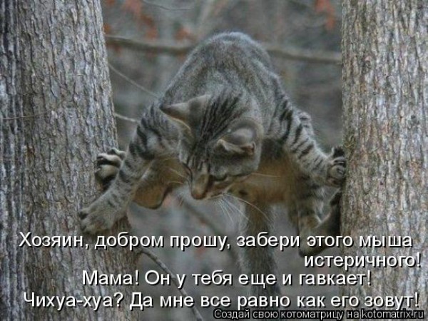 Мысли вслух :)